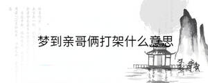 梦到亲哥俩打架什么意思
