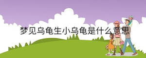 梦见乌龟生小乌龟是什么意思
