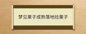 梦见栗子成熟落地捡栗子