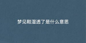 梦见鞋湿透了是什么意思
