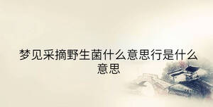 /nameask/40683.html