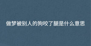 做梦被别人的狗咬了腿是什么意思