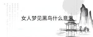 女人梦见黑鸟什么意思