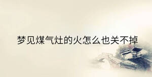梦见煤气灶的火怎么也关不掉