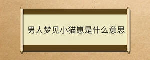 男人梦见小猫崽是什么意思