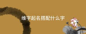 维字起名搭配什么字