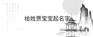 给姓贾宝宝起名字