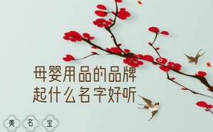 母婴用品的品牌起什么名字好听