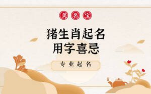 猪生肖起名用字喜忌