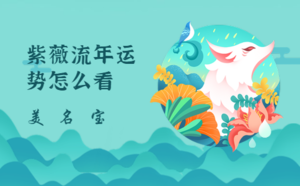 紫薇流年运势怎么看